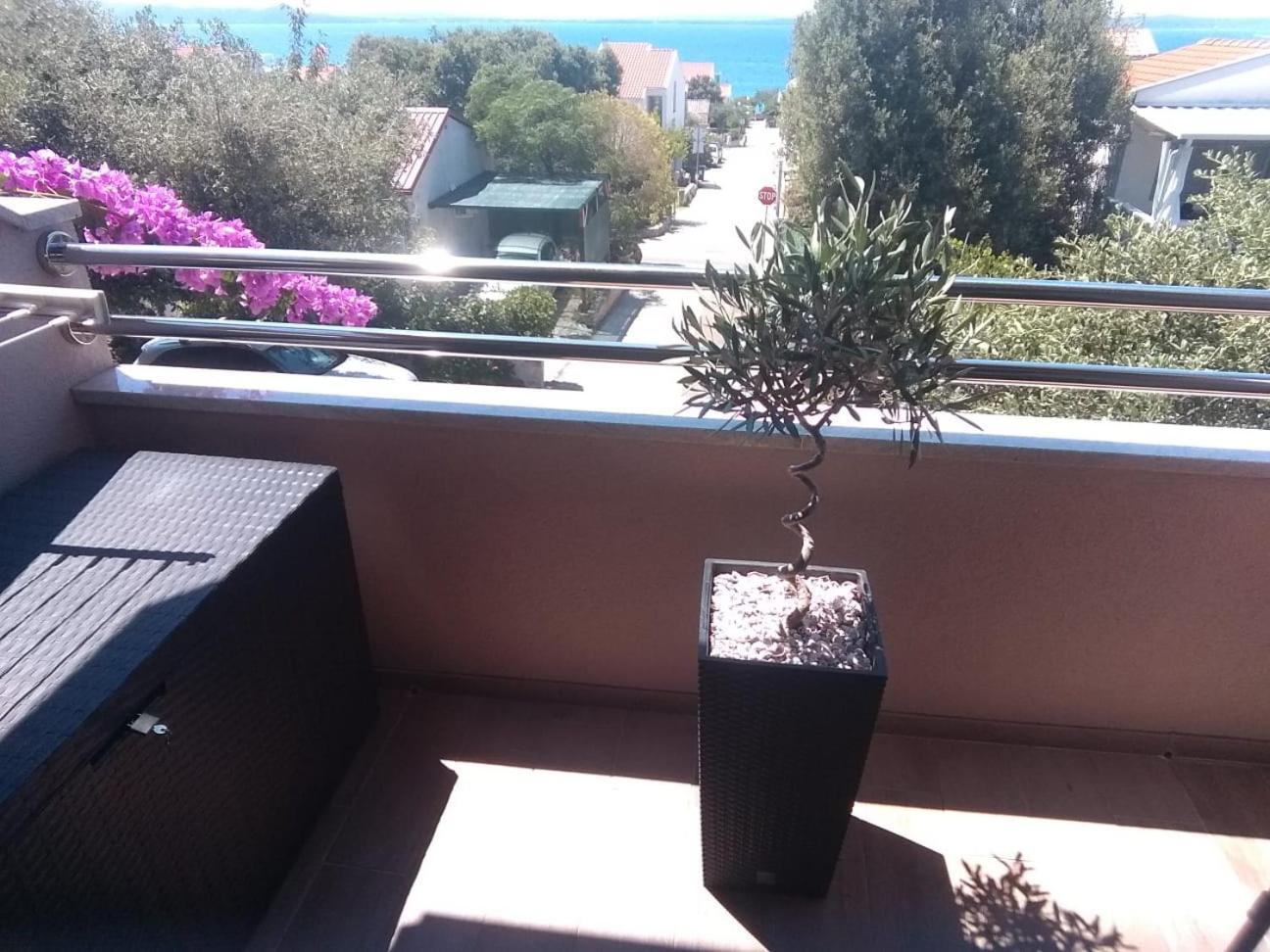 Apartment Vila Nina เพทรอซาเน ห้อง รูปภาพ