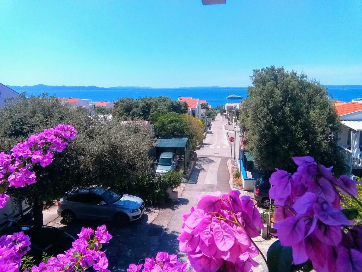 Apartment Vila Nina เพทรอซาเน ภายนอก รูปภาพ